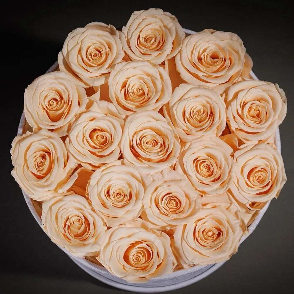 N/A classic roses